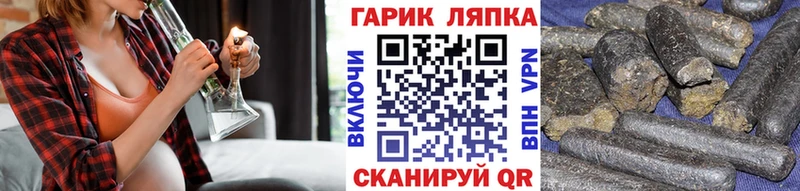 ГАШ Premium  купить   Оса 